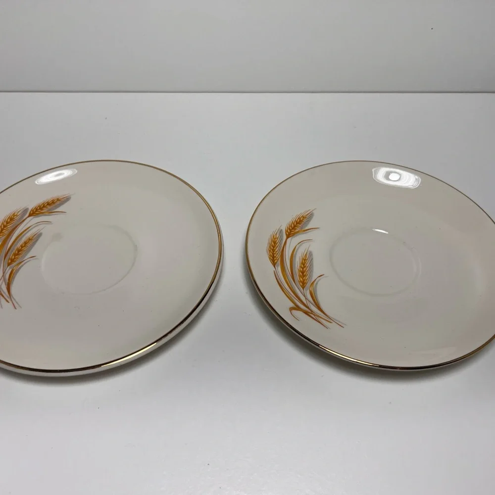 3/$25 Sale! Vintage Home Laughlin Golden Wheat‎ Pattern Teacup and Saucer Set